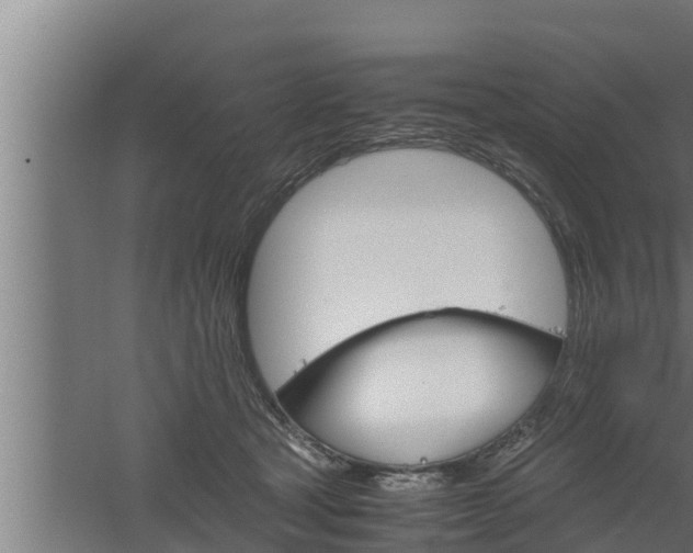 X0000061120465200511241715