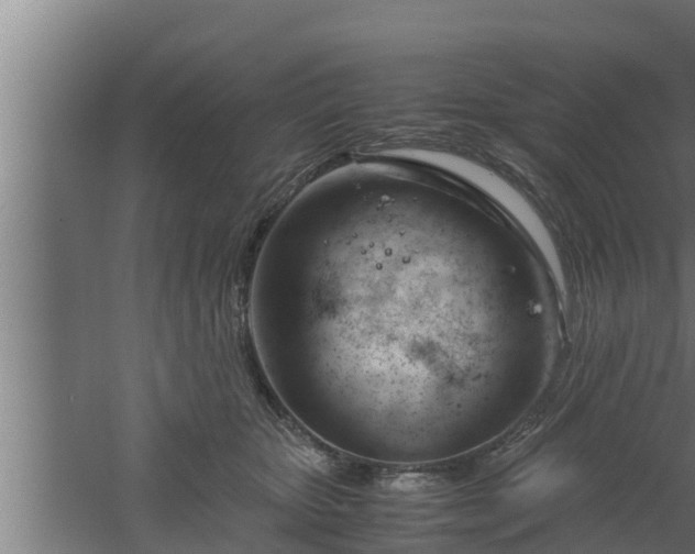 X0000061120467200511241715