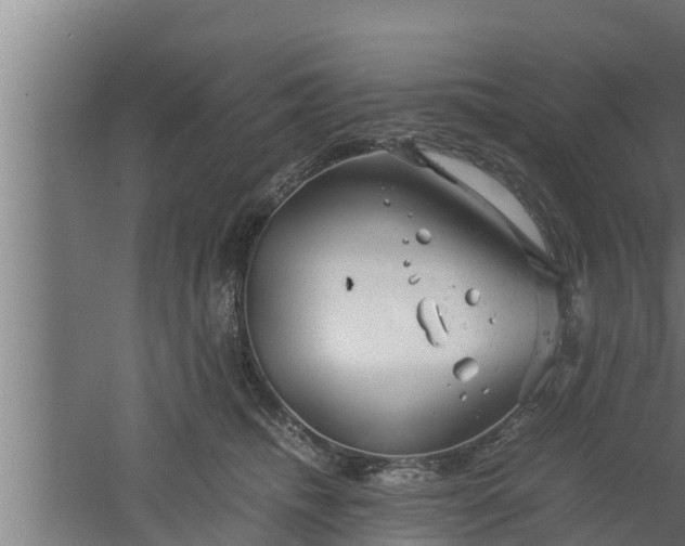 X0000061120468200511241715