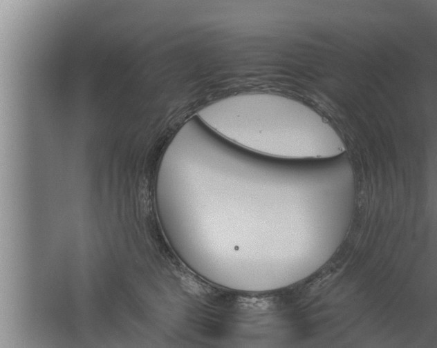 X0000061120469200511241715