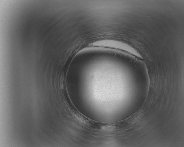 X0000061120470200511241715