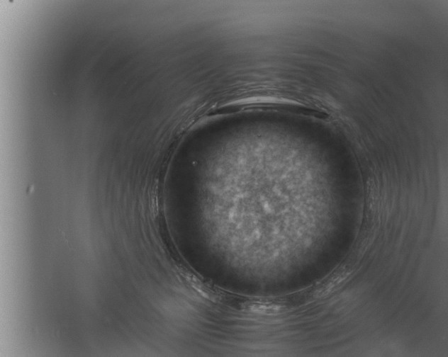 X0000061120471200511241715