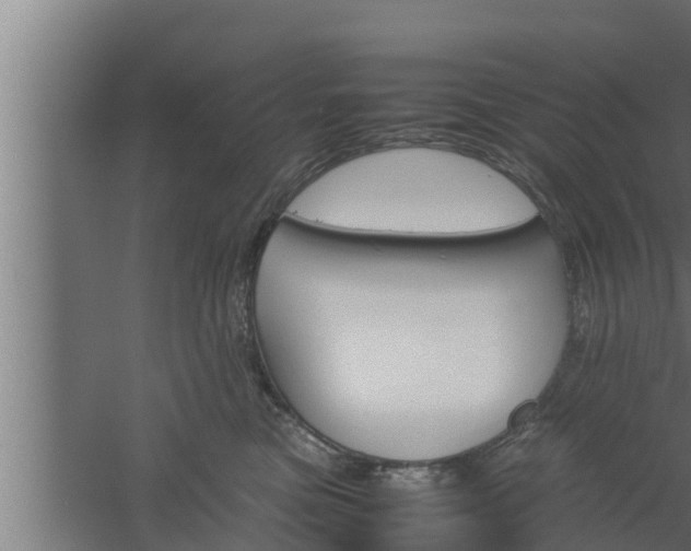 X0000061120473200511241715