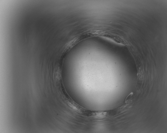 X0000061120474200511241715