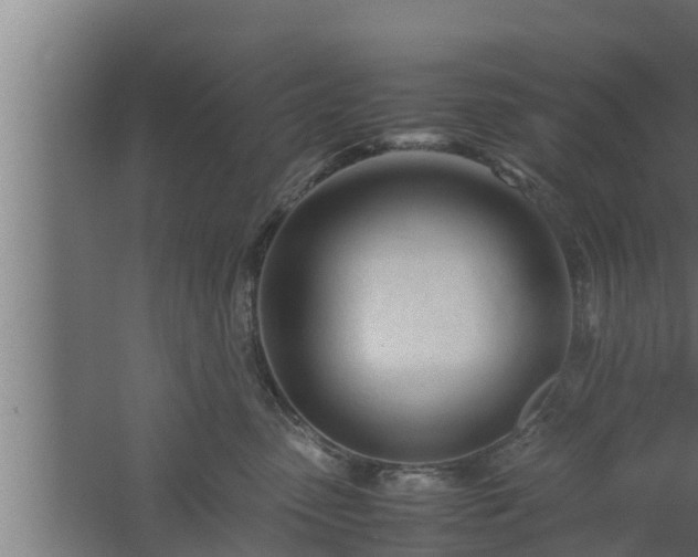 X0000061120475200511241715