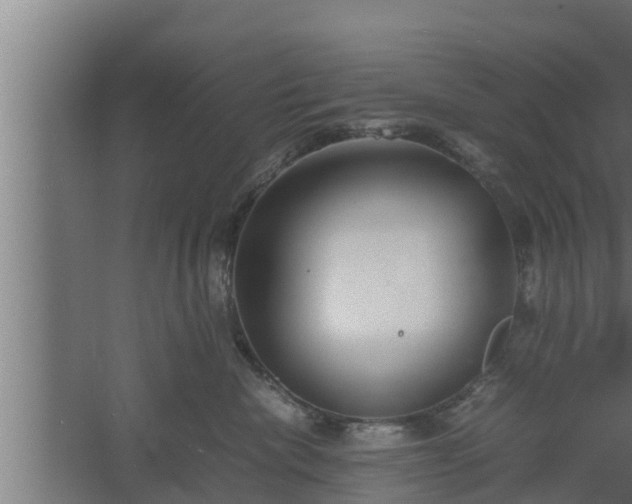 X0000061120476200511241715