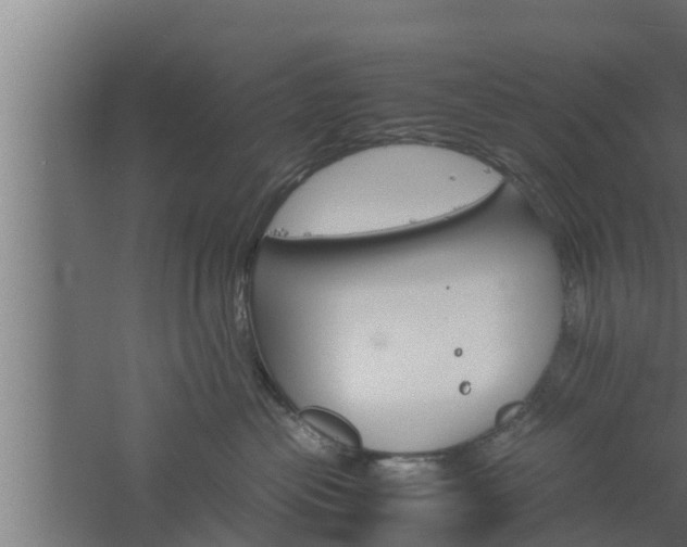 X0000061120477200511241715