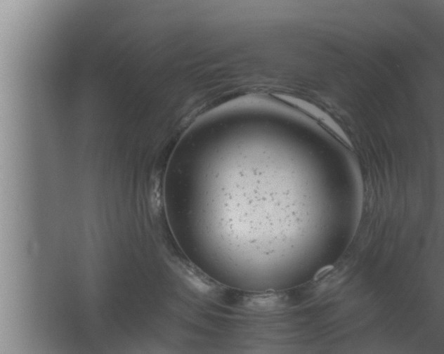 X0000061120479200511241715