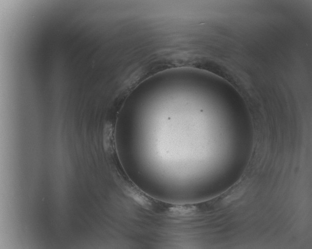 X0000061120480200511241715