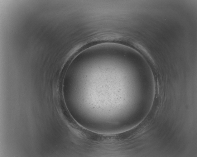 X0000061120483200511241714