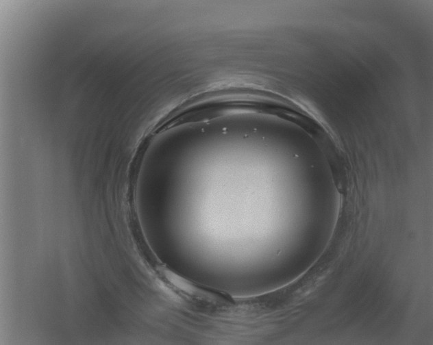 X0000061120485200511241714