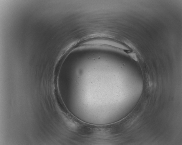 X0000061120486200511241714