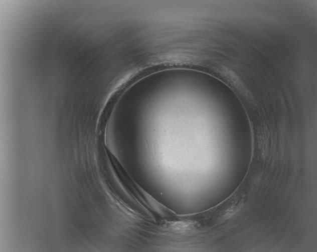 X0000061120488200511241714