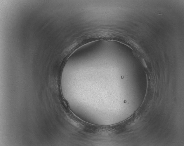 X0000061120489200511241714