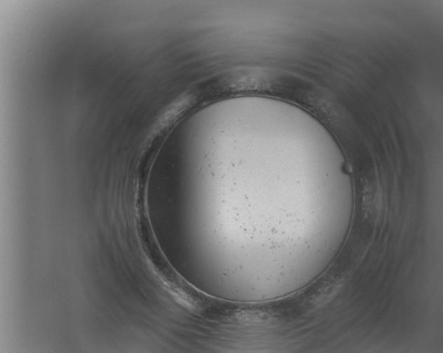 X0000061120490200511241714