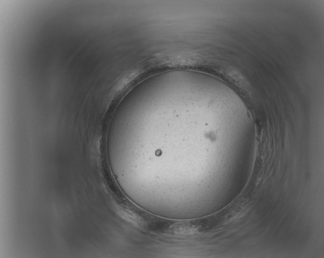 X0000061120491200511241714