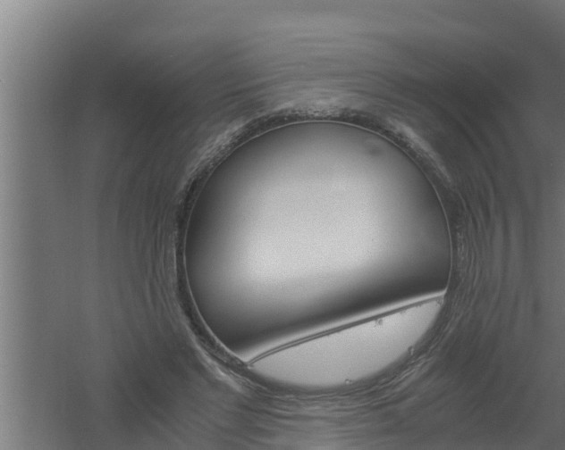 X0000061120493200511241714