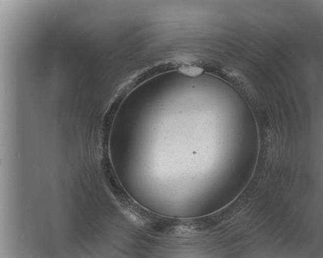 X0000061120496200511241714