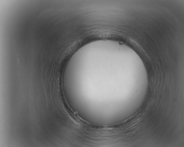 X0000061120497200511241714