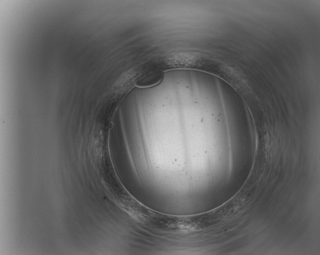 X0000061120498200511241714