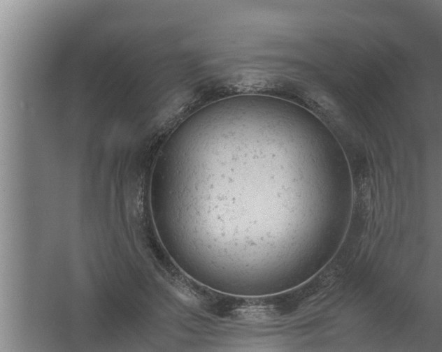 X0000061120499200511241714