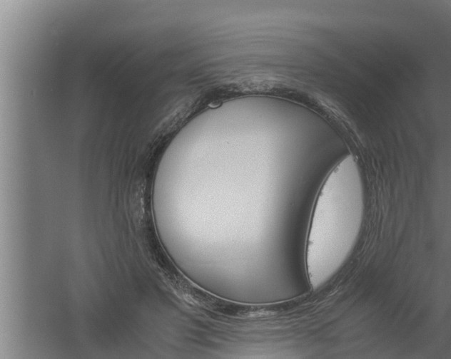 X0000061120501200511241714