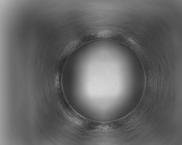 X0000061120502200511241714