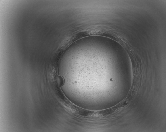 X0000061120503200511241714