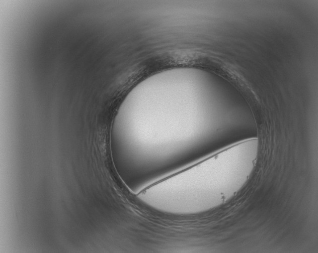 X0000061120505200511241714