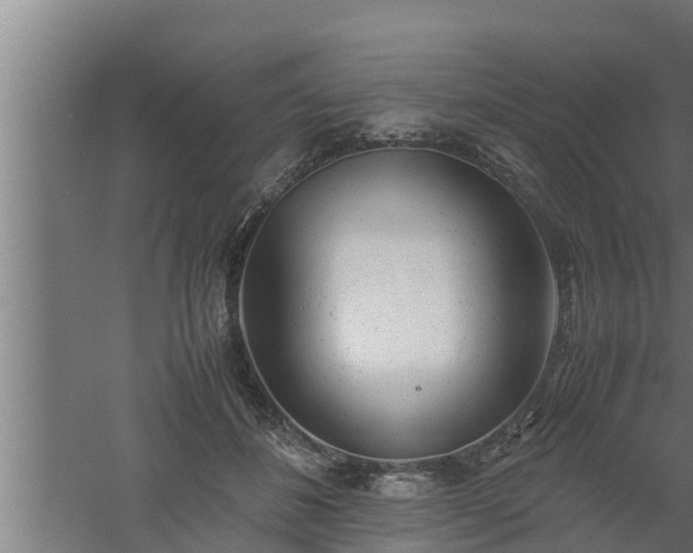 X0000061120508200511241713