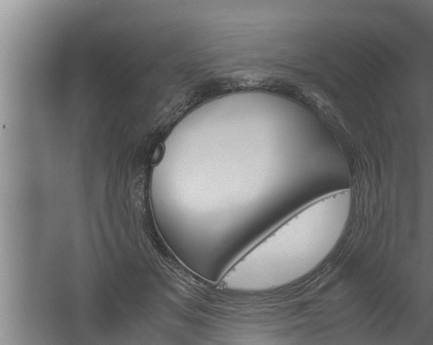 X0000061120509200511241713