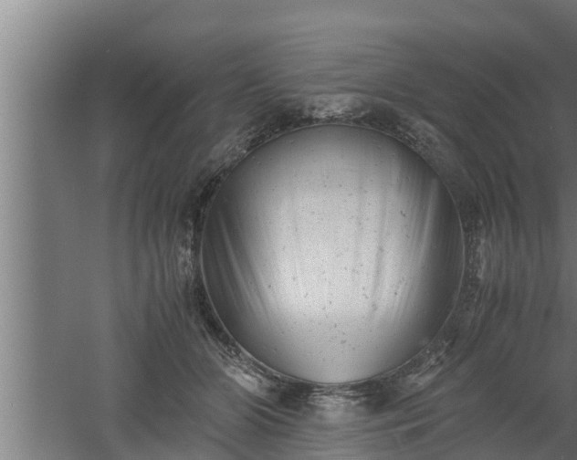 X0000061120510200511241713