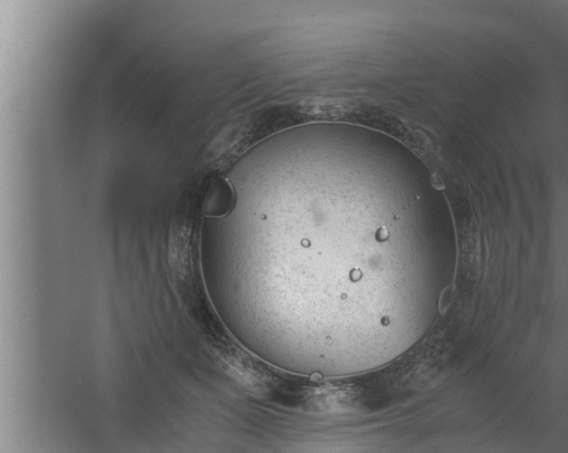 X0000061120511200511241713