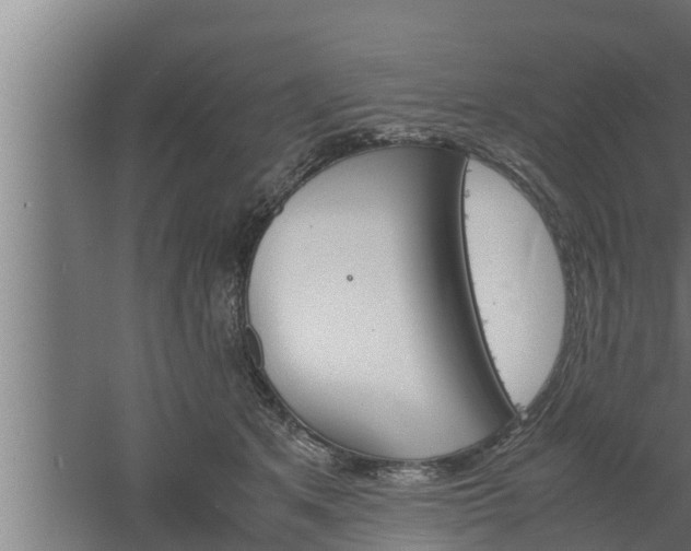 X0000061120513200511241713