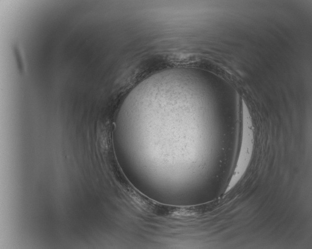 X0000061120515200511241713