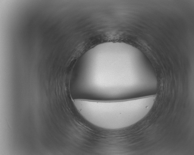 X0000061120516200511241713