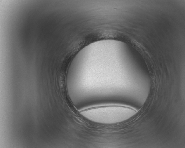 X0000061120517200511241713