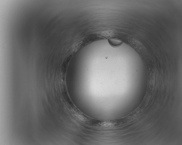 X0000061120518200511241713