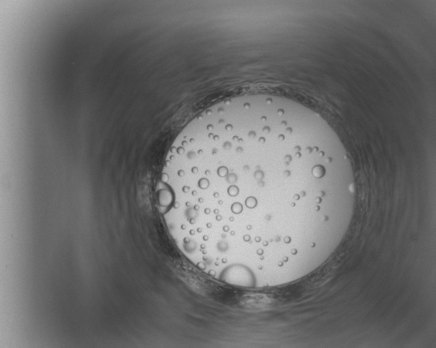 X0000061120519200511241713