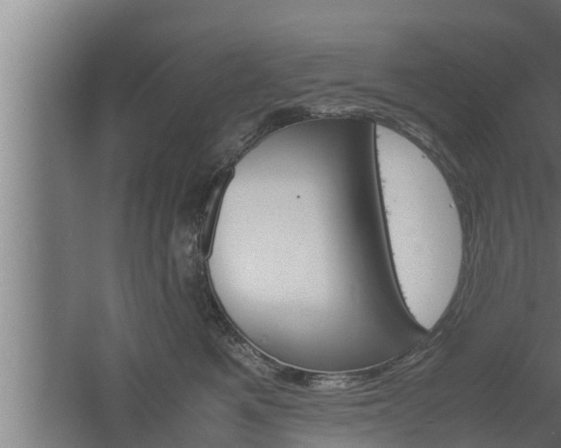 X0000061120521200511241713