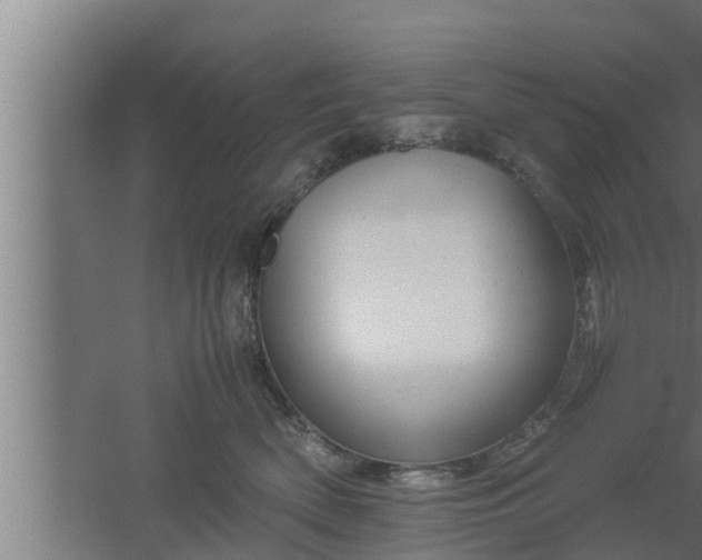 X0000061120522200511241713