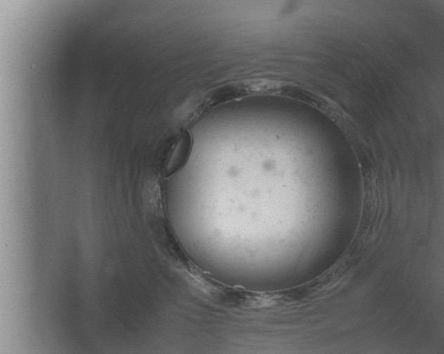 X0000061120523200511241713