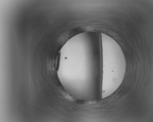 X0000061120525200511241713