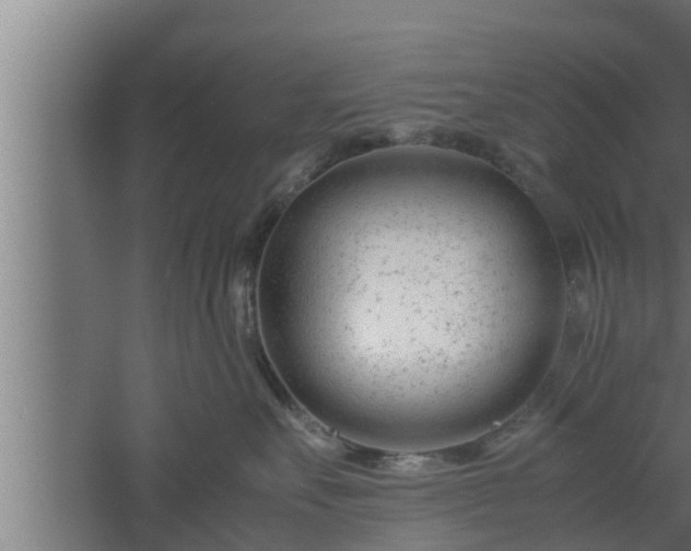 X0000061120527200511241713