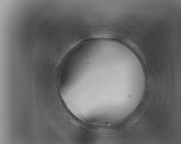 X0000061120529200511241712