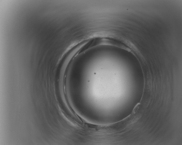 X0000061120530200511241712