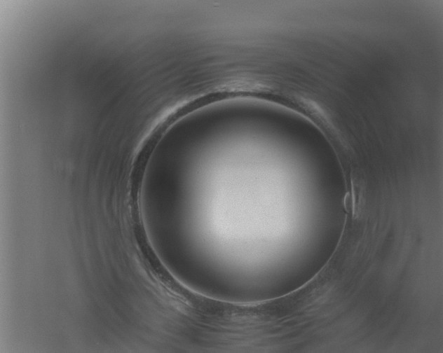 X0000061120531200511241712