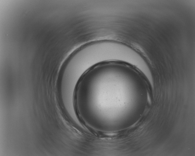 X0000061120532200511241712