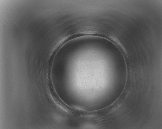 X0000061120533200511241712