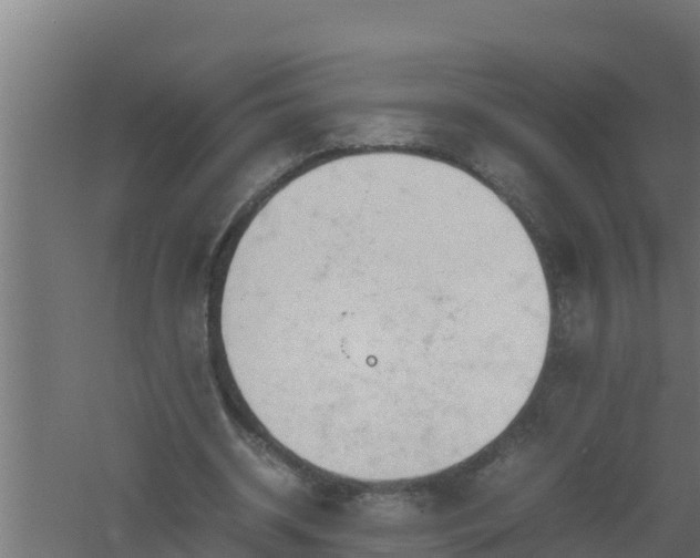 X0000061120534200511241712